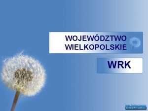 WOJEWDZTWO WIELKOPOLSKIE WRK WRK ZAREJESTROWANIE ORGANIZACJI 41 ORGANIZACJI