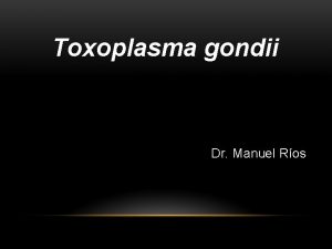 Toxoplasma gondii Dr Manuel Ros TOXOPLASMOSIS TOXOPLASMOSIS La