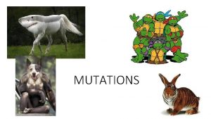 MUTATIONS Chromosome Review In normal diploid organisms two