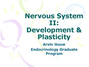 Nervous System II Development Plasticity Arvin Gouw Endocrinology