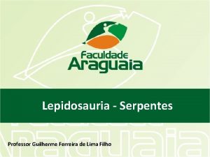 Lepidosauria Serpentes Professor Guilherme Ferreira de Lima Filho