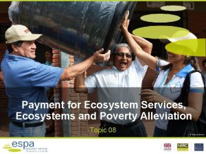 Payment for Ecosystem Services Ecosystems and Poverty Alleviation