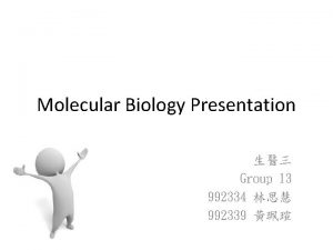 Molecular Biology Presentation Group 13 992334 992339 LB