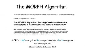 The MORPH Algorithm MORPH MOdule guided Ranking of
