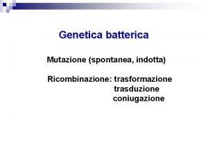 Genetica batterica Mutazione spontanea indotta Genetica batterica Ricombinazione