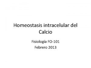 Homeostasis intracelular del Calcio Fisiologa FO101 Febrero 2013