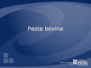 Peste bovina Center for Food Security and Public