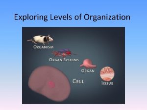 Exploring Levels of Organization euglena digital Scope euglena