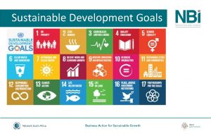 Sustainable Development Goals Background to the SDGs Process