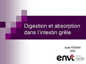 Digestion et absorption dans lintestin grle Aude FERRAN