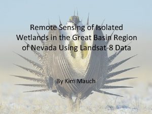 Remote Sensing of Isolated Wetlands in the Great