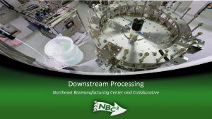 Downstream Processing Northeast Biomanufacturing Center and Collaborative Downstream