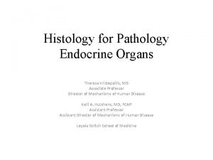 Histology for Pathology Endocrine Organs Theresa Kristopaitis MD