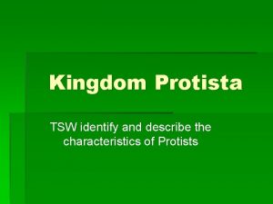 Kingdom Protista TSW identify and describe the characteristics