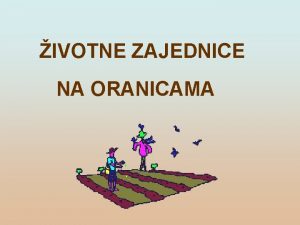 IVOTNE ZAJEDNICE NA ORANICAMA Oranice su ekoloki sustavi