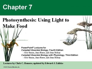 Chapter 7 Photosynthesis Using Light to Make Food