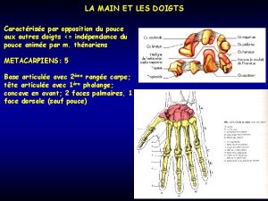 LA MAIN ET LES DOIGTS Caractrise par opposition