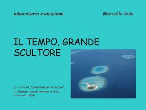 laboratorio evoluzione IL TEMPO GRANDE SCULTORE S J