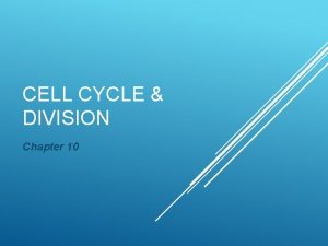 CELL CYCLE DIVISION Chapter 10 Cell Cycle Series