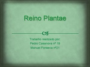 Reino Plantae Trabalho realizado por Pedro Casanova n