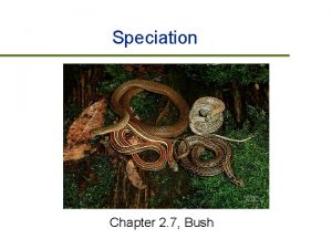 Speciation Chapter 2 7 Bush Speciation v What