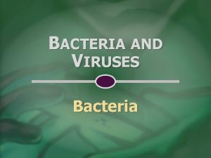 BACTERIA AND VIRUSES Bacteria MICROBIOLOGY the study of