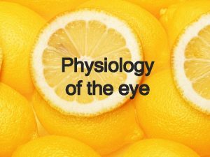Physiology of the eye Imagine your eyes as