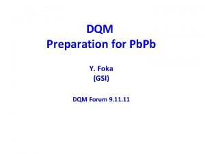 DQM Preparation for Pb Pb Y Foka GSI