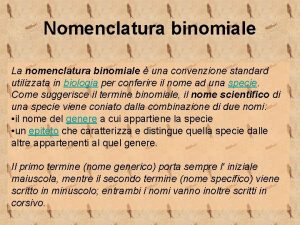 Nomenclatura binomiale La nomenclatura binomiale una convenzione standard