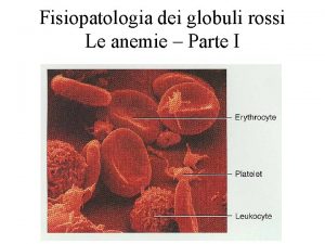 Fisiopatologia dei globuli rossi Le anemie Parte I