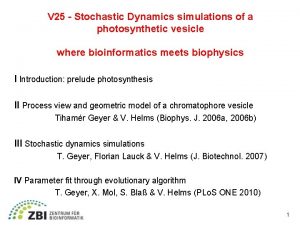 V 25 Stochastic Dynamics simulations of a photosynthetic
