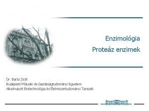 Enzimolgia Protez enzimek Dr Barta Zsolt Budapesti Mszaki