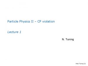 Particle Physics II CP violation Lecture 1 N