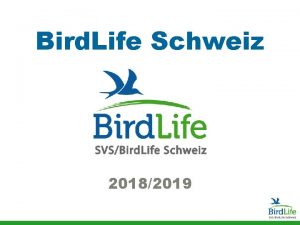 Bird Life Schweiz 20182019 Bird LifeKampagne 2018 t