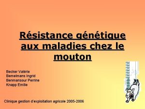 Rsistance gntique aux maladies chez le mouton Becker