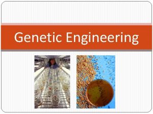 Genetic Engineering What is the difference between the