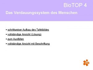 Bio TOP 4 Das Verdauungssystem des Menschen schrittweiser