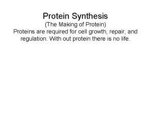 Protein Synthesis The Making of Protein Proteins are