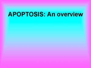 APOPTOSIS An overview INTRODUCTION Cell death by injury