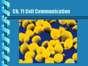 Ch 11 Cell Communication Signal transduction The process