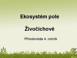 Ekosystm pole ivoichov Prodovda 4 ronk ivoichov na