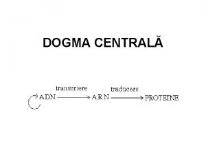 DOGMA CENTRAL Materialul genetic la eucariote ARN ADN