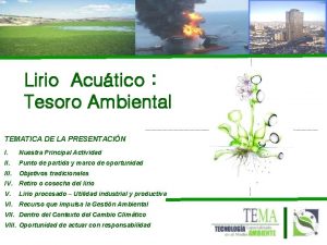 Lirio Acutico Tesoro Ambiental TEMATICA DE LA PRESENTACIN