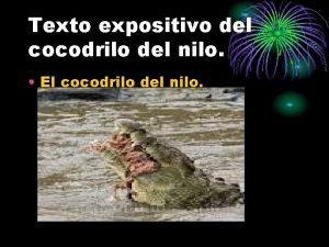 Texto expositivo del cocodrilo del nilo El cocodrilo