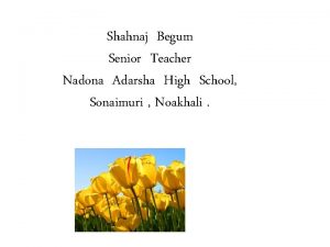 Shahnaj Begum Senior Teacher Nadona Adarsha High School