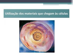 Utilizao dos materiais que chegam s clulas Metabolismo