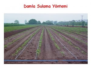 Damla Sulama Yntemi Damla Sulama Yntemi Damla sulama