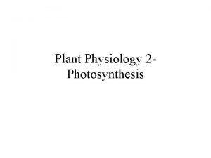 Plant Physiology 2 Photosynthesis photosynthesis Photo means light