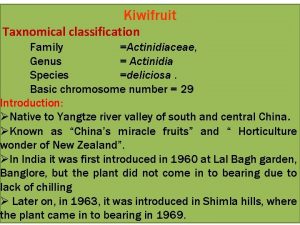 Kiwifruit Taxnomical classification Family Actinidiaceae Genus Actinidia Species