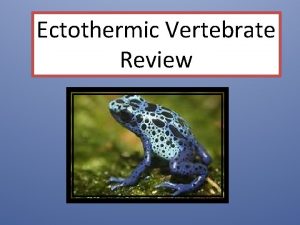 Ectothermic Vertebrate Review Identify the Frog Parts esophagus